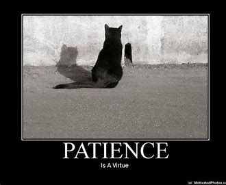 Patience